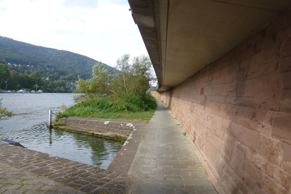 Alle Fotos Erich Lehn Image