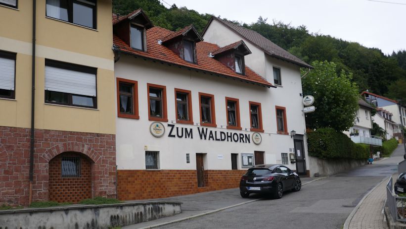 Waldhorn - Kleinbilder aus Image