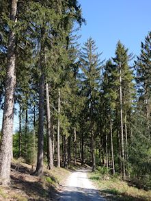 Geigersheideweg Image